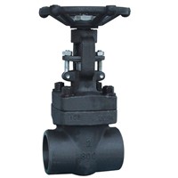 Class 800 Forged Steel Gate Valves