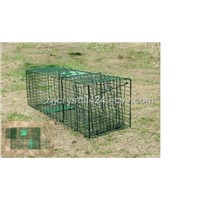 Collapsible Raccoon Skunk Beaver Trap