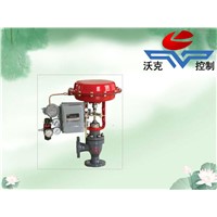 Pneumatic Angular Single Seated Control Valve