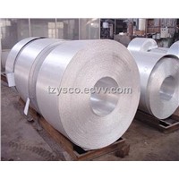 304 Stainless Steel Coil