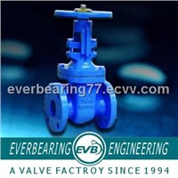 Cast Iron ANSI OS&amp;amp;Y Gate Valve