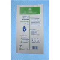Disposable Glove Bags (ZJPY-MP1-04)