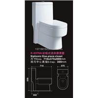 Floor standing one piece toilet