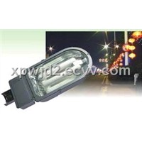 Induction Road Lamp (306)
