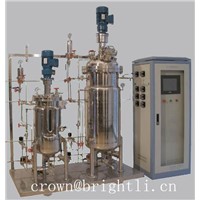 Stainless steel fermentor with seed fermentor