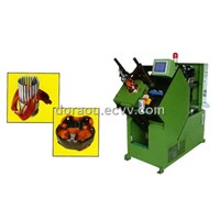 DLM-5 coil and wedge inserting machine