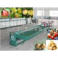 fruit grading machine(convey fruits automatically)