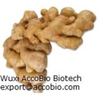 ginger extract