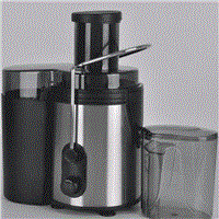 High Effeciency Stainless Steel Mini Juicer Extractor