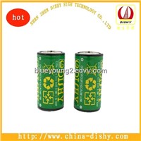 Dishy Dry Carbon R14 Battery