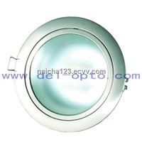 LED Down Light