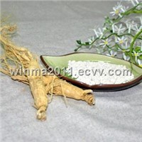 Ginseng Extract