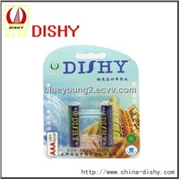 dishy hot sale dry carbon R03 battery