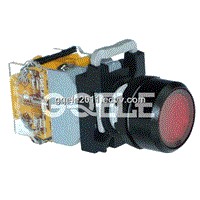 Illuminated Pushbutton Switch (LA115-B1-11D)