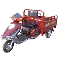 Motorized Tricycle (DY110ZH-12)