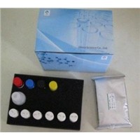 Human Erythropoietin ( ) ELISA Kit