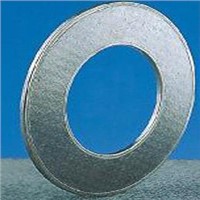 316/304 Tanged Graphite Gasket