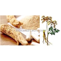 Angelica Root Extract