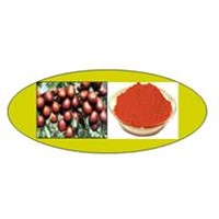 Chinese Date Fructus Jujubae Extract