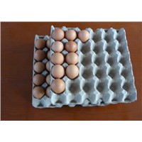 SH-egg tray molding machine