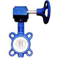 Worm gear operated Wafer Teflon Butterfly Valve