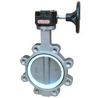 Worm gear operated stainless steel 316 butterfly valve