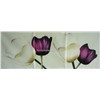 Flower Tulip oil painting for house decoration, hand made oil painitng