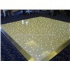 NEW Led Twinkling Dance Floor for Wedding Party,LED video dance Floor