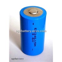 ER34615M 14500mAh 3.6V Primary Lithium battery
