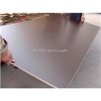 Eucalyptus Core Film Faced Plywood