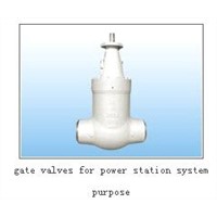 gate valves for power station system