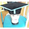 Doctor Degree Party hat