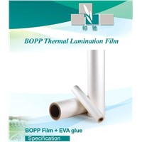 BOPP Thermal lamination Film