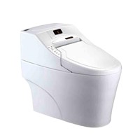 Bista Grade AAA Smart Intelligent Toilet(BST-912)