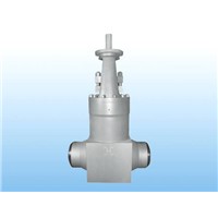 Forged Gate Valves for power station system purpose
