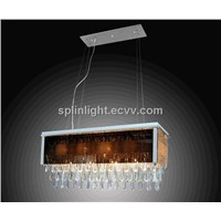 Pendant Lamp Stainless Steel with Crystal