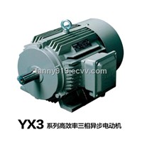 YX3 Series High-Efficiency Induction Motor