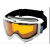 Ski Goggles ski-100