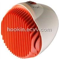 Ceramic heater