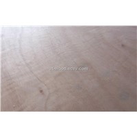 China poplar core with red cedar face blockboard/Green timber