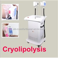 Multi-Function Master Cryolipoly+cavitation+rf Weight Loss Beauty Equipment for Spa Salon