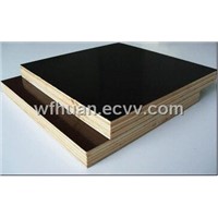 Brown film faced plywood