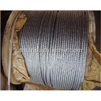 Galvanized and Ungalvanized Steel Wire Rope