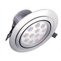 LED Ceiling Light