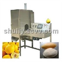 Pomelo Peeling Machine