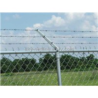 electro galvanized chain link fence (ISO 9001 factory )