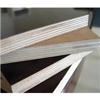 shuttering plywood//film faced plywood