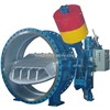Butterfly Check valve-Turbine valve