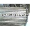 Conveyor Wire Mesh Belt  (Factory)
