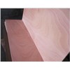 BB/BB grade furniture okoume plywood for marine and flooring